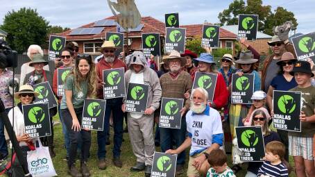 The group assembled in Mudgee at the Save Our Koalas rally. Photo: Supplied