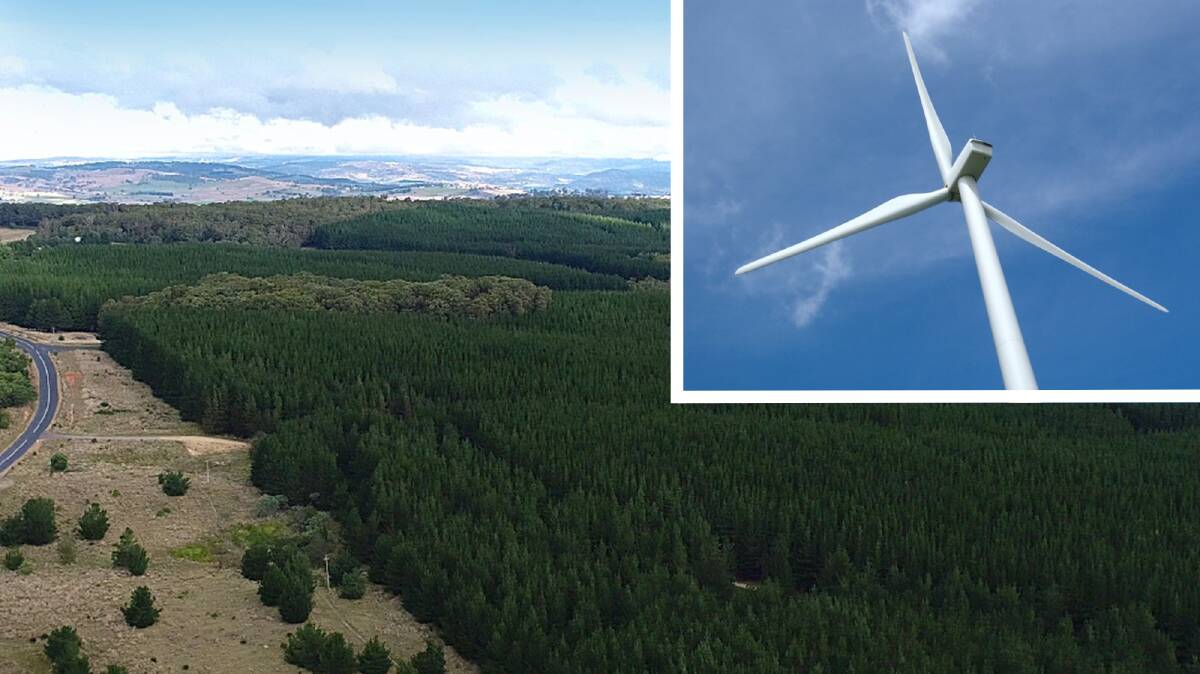 Biggest wind farm in NSW planned at Sunny Corner. Pictures supplied
