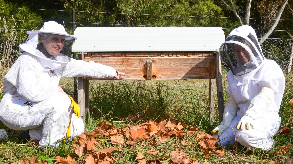 Beekeepers Shelby Ashelford and Julia Hutabarat in front of a hive. Picture by Carla Freedman
