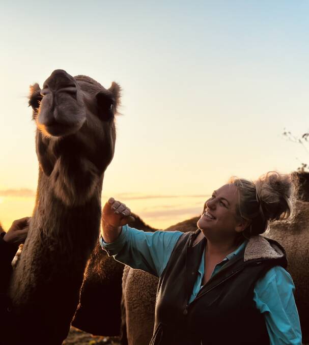 Delene Wilson with some of her camels. Picture supplied.