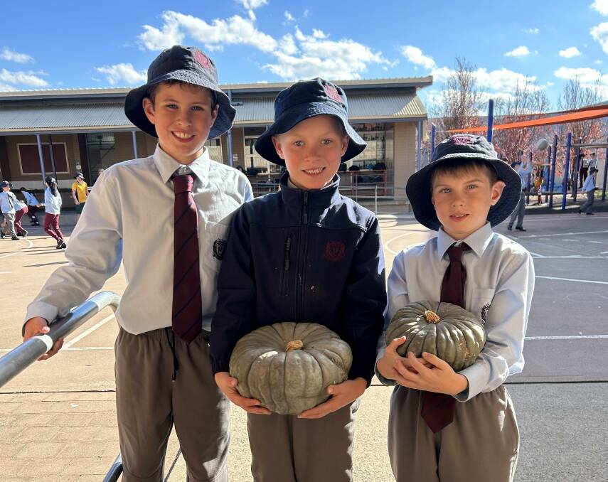 Ruben, Jock and Leo with their pumpkins. Photo supplied